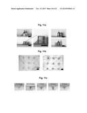 MICROSTRUCTURE-BASED DRUG DELIVERY SYSTEM COMPRISING MICROPOROUS STRUCTURE diagram and image