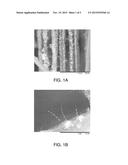 GROWTH OF SILICON AND BORON NITRIDE NANOMATERIALS ON CARBON FIBERS BY     CHEMICAL VAPOR DEPOSITION diagram and image