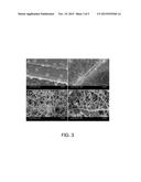 GROWTH OF SILICON AND BORON NITRIDE NANOMATERIALS ON CARBON FIBERS BY     CHEMICAL VAPOR DEPOSITION diagram and image