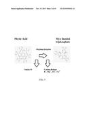 Use of synergistic microorganisms and nutrients to produce signals that     facilitate the germination and plant root colonization of mycorrhizal     fungi in phosphorus rich environments diagram and image