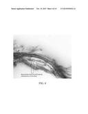 Use of synergistic microorganisms and nutrients to produce signals that     facilitate the germination and plant root colonization of mycorrhizal     fungi in phosphorus rich environments diagram and image