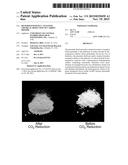 HETEROGENEOUSLY CATALYZED CHEMICAL REDUCTION OF CARBON DIOXIDE diagram and image