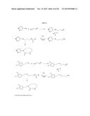 Carbondisulfide Derived Zwitterions diagram and image