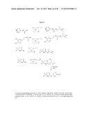 Carbondisulfide Derived Zwitterions diagram and image