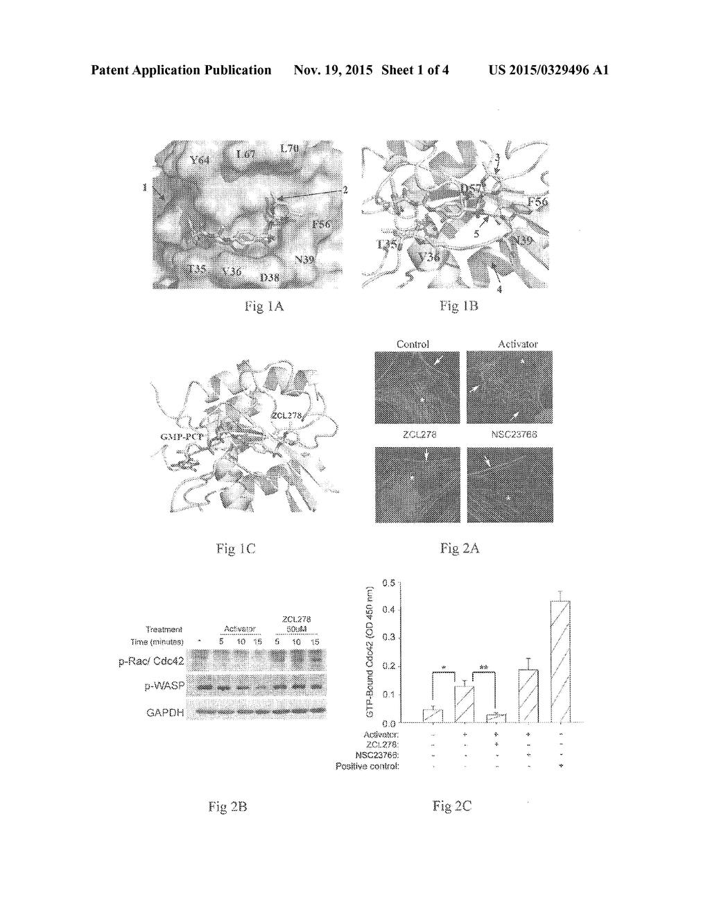 Cdc42 INHIBITOR AND USES THEREOF - diagram, schematic, and image 02