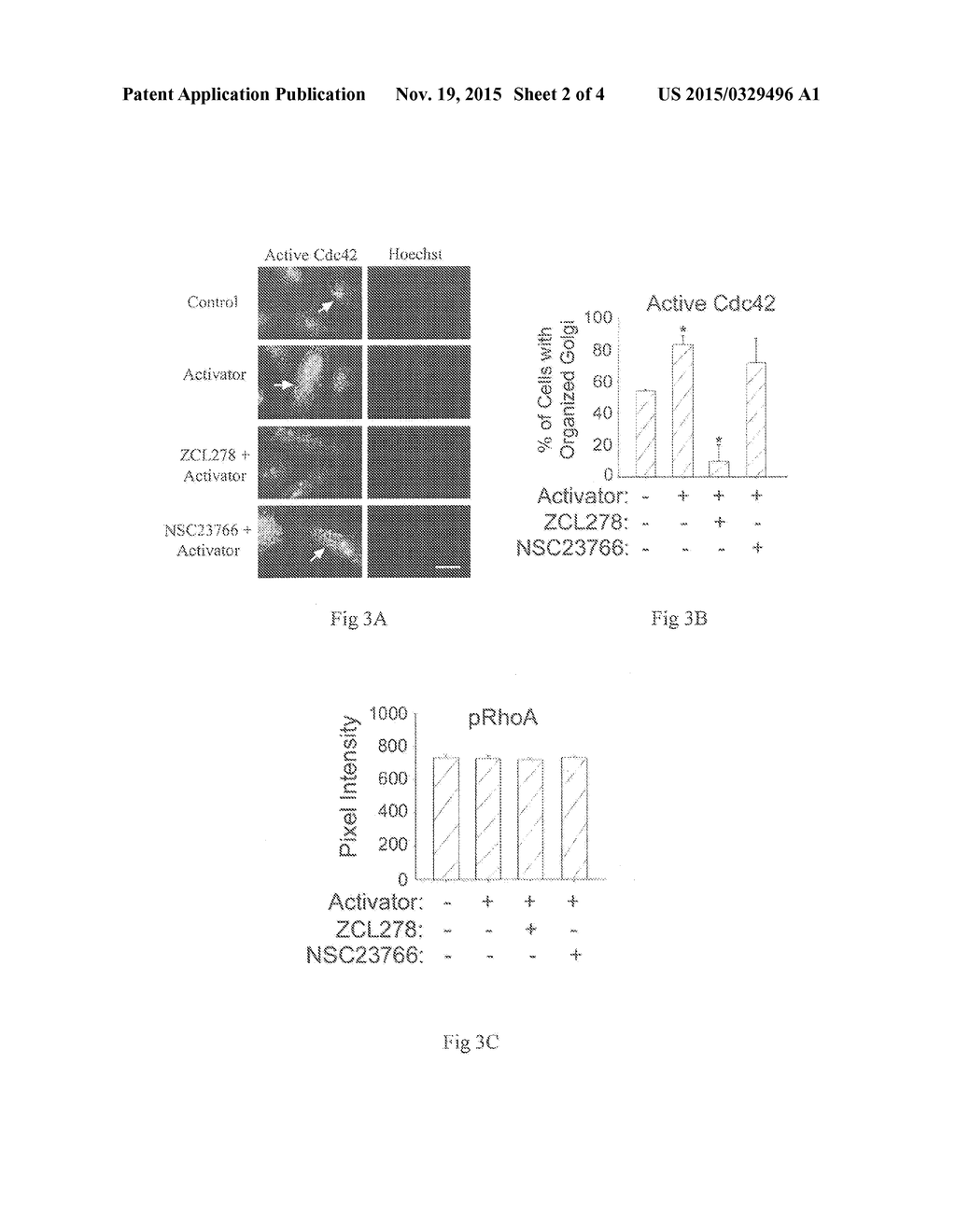 Cdc42 INHIBITOR AND USES THEREOF - diagram, schematic, and image 03