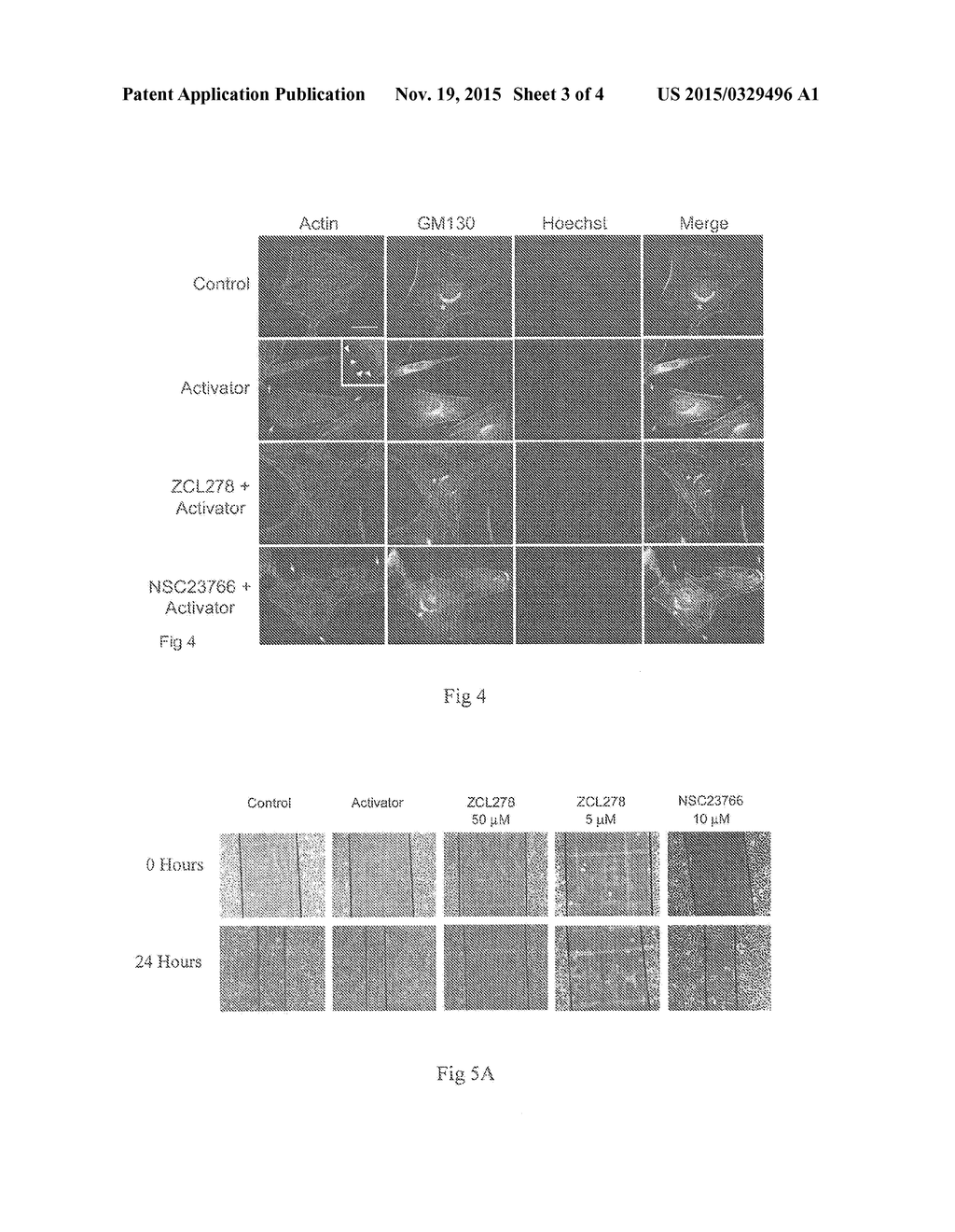 Cdc42 INHIBITOR AND USES THEREOF - diagram, schematic, and image 04