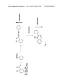 RAPID AND EFFICIENT BIOORTHOGONAL LIGATION REACTION AND BORON-CONTAINING     HETEROCYCLES USEFUL IN CONJUNCTION THEREWITH diagram and image