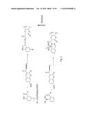 RAPID AND EFFICIENT BIOORTHOGONAL LIGATION REACTION AND BORON-CONTAINING     HETEROCYCLES USEFUL IN CONJUNCTION THEREWITH diagram and image