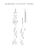 RAPID AND EFFICIENT BIOORTHOGONAL LIGATION REACTION AND BORON-CONTAINING     HETEROCYCLES USEFUL IN CONJUNCTION THEREWITH diagram and image