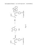 RAPID AND EFFICIENT BIOORTHOGONAL LIGATION REACTION AND BORON-CONTAINING     HETEROCYCLES USEFUL IN CONJUNCTION THEREWITH diagram and image