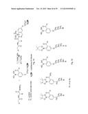 RAPID AND EFFICIENT BIOORTHOGONAL LIGATION REACTION AND BORON-CONTAINING     HETEROCYCLES USEFUL IN CONJUNCTION THEREWITH diagram and image