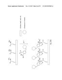 RAPID AND EFFICIENT BIOORTHOGONAL LIGATION REACTION AND BORON-CONTAINING     HETEROCYCLES USEFUL IN CONJUNCTION THEREWITH diagram and image