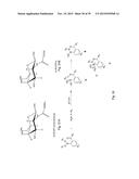 RAPID AND EFFICIENT BIOORTHOGONAL LIGATION REACTION AND BORON-CONTAINING     HETEROCYCLES USEFUL IN CONJUNCTION THEREWITH diagram and image