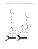 RAPID AND EFFICIENT BIOORTHOGONAL LIGATION REACTION AND BORON-CONTAINING     HETEROCYCLES USEFUL IN CONJUNCTION THEREWITH diagram and image