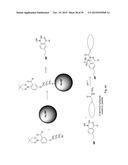 RAPID AND EFFICIENT BIOORTHOGONAL LIGATION REACTION AND BORON-CONTAINING     HETEROCYCLES USEFUL IN CONJUNCTION THEREWITH diagram and image