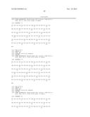 STABILIZED INSULIN-LIKE GROWTH FACTOR POLYPEPTIDES diagram and image