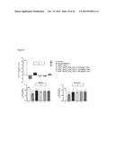 STABILIZED INSULIN-LIKE GROWTH FACTOR POLYPEPTIDES diagram and image