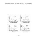 SUPPRESSION OF LEPTIN ACTION FOR TREATMENT OF PULMONARY INFECTIONS diagram and image