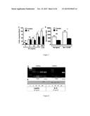 SUPPRESSION OF LEPTIN ACTION FOR TREATMENT OF PULMONARY INFECTIONS diagram and image