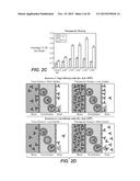 LOW AFFINITY BLOOD BRAIN BARRIER RECEPTOR ANTIBODIES AND USES THEREFOR diagram and image