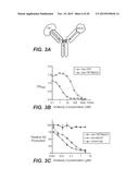 LOW AFFINITY BLOOD BRAIN BARRIER RECEPTOR ANTIBODIES AND USES THEREFOR diagram and image