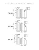 LOW AFFINITY BLOOD BRAIN BARRIER RECEPTOR ANTIBODIES AND USES THEREFOR diagram and image