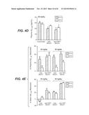 LOW AFFINITY BLOOD BRAIN BARRIER RECEPTOR ANTIBODIES AND USES THEREFOR diagram and image