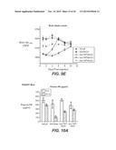 LOW AFFINITY BLOOD BRAIN BARRIER RECEPTOR ANTIBODIES AND USES THEREFOR diagram and image