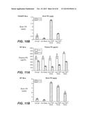 LOW AFFINITY BLOOD BRAIN BARRIER RECEPTOR ANTIBODIES AND USES THEREFOR diagram and image