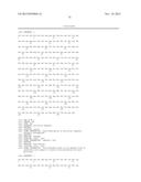 Recombinant Elastase Proteins and Methods of Manufacturing and Use Thereof diagram and image