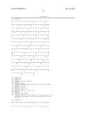 Recombinant Elastase Proteins and Methods of Manufacturing and Use Thereof diagram and image