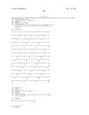 Recombinant Elastase Proteins and Methods of Manufacturing and Use Thereof diagram and image