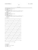 Recombinant Elastase Proteins and Methods of Manufacturing and Use Thereof diagram and image