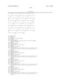 Recombinant Elastase Proteins and Methods of Manufacturing and Use Thereof diagram and image