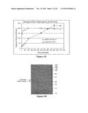 Recombinant Elastase Proteins and Methods of Manufacturing and Use Thereof diagram and image