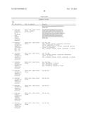 Recombinant Elastase Proteins and Methods of Manufacturing and Use Thereof diagram and image