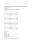 Recombinant Elastase Proteins and Methods of Manufacturing and Use Thereof diagram and image