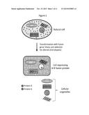 COMPOSITIONS AND METHODS FOR CREATING ALTERED AND IMPROVED CELLS AND     ORGANISMS diagram and image