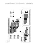 METHOD OF SYNTHESIS OF GENE LIBRARY USING CODON RANDOMIZATION AND     MUTAGENESIS diagram and image