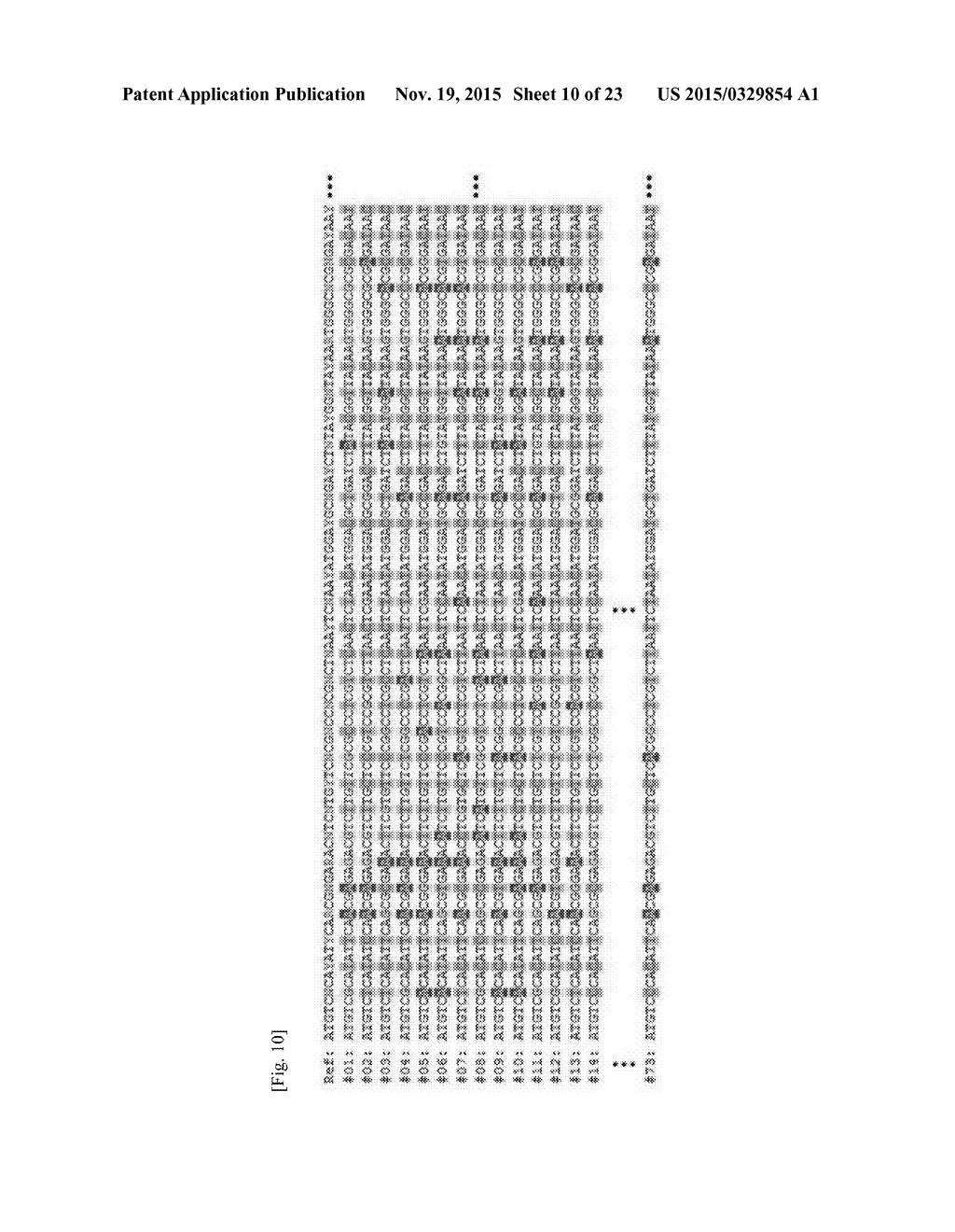 METHOD OF SYNTHESIS OF GENE LIBRARY USING CODON RANDOMIZATION AND     MUTAGENESIS - diagram, schematic, and image 11