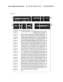 METHOD OF SYNTHESIS OF GENE LIBRARY USING CODON RANDOMIZATION AND     MUTAGENESIS diagram and image