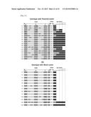 METHOD OF SYNTHESIS OF GENE LIBRARY USING CODON RANDOMIZATION AND     MUTAGENESIS diagram and image