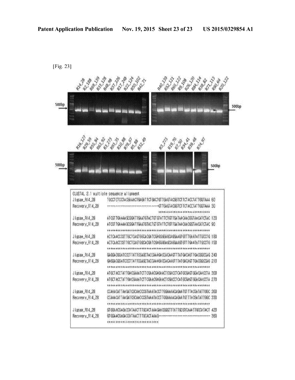 METHOD OF SYNTHESIS OF GENE LIBRARY USING CODON RANDOMIZATION AND     MUTAGENESIS - diagram, schematic, and image 24