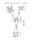 PROCESSING BIOMASS diagram and image