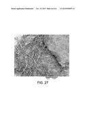 PROCESSING BIOMASS diagram and image