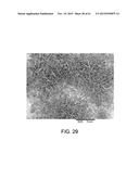 PROCESSING BIOMASS diagram and image