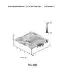 PROCESSING BIOMASS diagram and image