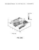 PROCESSING BIOMASS diagram and image