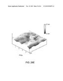 PROCESSING BIOMASS diagram and image